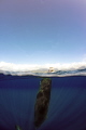   depths taken under permit  